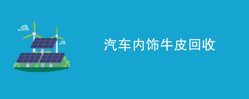 汽车内饰牛皮回收