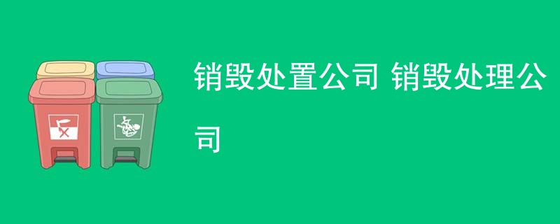 销毁处置公司 销毁处理公司